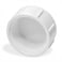 Lakesstory 12 Inch PVC Pipe End Cap Sch 40 PVC Fitting Female Threaded Plug Pack of 1