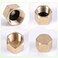 Tinoaly 12pcs Brass Pipe Cap with 12 Rubber Gasket Hex Compression Cap Brass Nut Plumbing Fittings for 14 34 38 Inch Od Pipe Connection