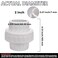 carvedexquisitely 2 PVC Union Coupling Pipe Fitting Socket x Socket PVC Adapter Schedule 40 EPDM ORing White 2 Pack