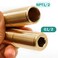 FULAIWANG 2pack Brass Pipe Adapter Plumbing G12 Male Thread to NPT12 Male Pipe Fitting Extender Seamless and Leakproof Total Length 3