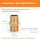 Besosay 3Piece 38 x 38 NPT Male Brass Nipple 38 Brass NPT Pipe Fittings Coupler Coupling Nipple Adapter
