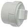 Canplas 193704AS PVC DWV FTG Cleanout Adapter with PL White