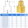 ChillWaves Brass Pipe Fitting Extension Adapter 12 NPT Female x 12 NPT Male Thread Adapter6PACK