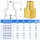 ChillWaves Brass Pipe Fitting Reducer Adapter 38 NPT Female x 14 NPT Male Thread Adapter6PACK