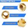 FANOVO 38 inch Brass Tee Pipe Fitting 2pcs 3Way Forged Brass TFittings 38 x 38 x 38 NPT Female Metal Pipe Coupling Connector Adapter for CompressorFuel Line Water Pipe Multi System