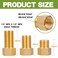 FullMayPro Brass Pipe Fitting 12 Female to 12 Male Pipe Nipple Extension Connector Hex Bushing Adapter Set with Teflon Tape Length 30MM40MM50MM 3PCS