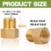 FullMayPro Brass Pipe Fitting 12 Female to 12 Male Pipe Nipple Extension Connector Hex Bushing Adapter with Teflon Tape Length 11830MM 2PCS