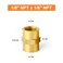GASHER 10PCS Brass Pipe Fitting Reducer Adapter 18Inch Female Pipe x 18Inch Female Pipe