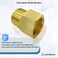 gotonovo NPT 12 Female Thread to 12 Inch Male Thread Pipe Fitting Converter Adapter Solid Brass 2 Pack