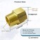 gotonovo NPT 12 Female Thread to 12 Inch Male Thread Pipe Fitting Converter Adapter Solid Brass 2 Pack