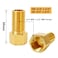 Hooshing 2PCS Brass Pipe Fitting 12 Female to 12 Male Straight Thread Pipe Extension Connector Length 197 Inch50mm