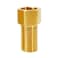 Hooshing 2PCS Brass Pipe Fitting 12 Female to 12 Male Straight Thread Pipe Extension Connector Length 197 Inch50mm