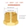 Hooshing 6PCS Brass Reducer Hex Bushing 12 NPT Male to 38 NPT Female Thread Pipe Fitting Atapter