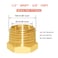 Hooshing 6PCS Brass Reducer Hex Bushing 12 NPT Male to 38 NPT Female Thread Pipe Fitting Atapter