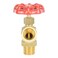 HYDRO MASTER Brass Boiler Drain Valve 34 in x 34 in MPT x MHTFor Residential Plumbing and Heating Systems 34 MIP x 34 MHT