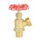 HYDRO MASTER Brass Boiler Drain Valve 34 in x 34 in MPT x MHTFor Residential Plumbing and Heating Systems 34 MIP x 34 MHT