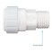 John Guest Speedfit 34 Inch CTS x 34 Inch NPT Pushfit Male Connector Push to Connect Plastic Plumbing Fitting White PSEI012826P
