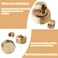 JSMOUID 18PCS 18 NPT Brass Male Pipe Plug Fitting Hex Counter Sunk Pipe Plug 18 NPT