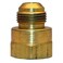 LASCO 174679 1516Inch Flare by 34Inch Female Pipe Thread Brass Adapter
