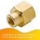 Legines Brass Reducing Coupling 12 NPT Female x 38 NPT Female Hex Reducer Coupler Adapter Pipe Fitting 1200psi Pack of 2