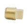 Legines Solid Brass Pipe Fitting 18 NPT Male Square Head Plug 5 pcs