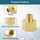 Midanya NPT 14 Male Thread to 12 Female Thread Pipe Fitting Coupling Converter Adapter Straight Nipple Solid Brass 2 Pack