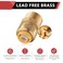 EFIELD Pack of 2 Push fit 12 Inch x 34 Inch Male Adapter Push to Connect Pex Copper CPVC with a Disconnect ToolPF0262PCS