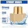 EFIELD Pack of 5 Brass Fittings 38 Male Pipe x 12 Female NPT Threaded Pipe ReducerNPT0395PCS