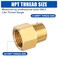 EFIELD Pack of 5 Brass Pipe Fittings 12 Male Pipe x 34 Female NPT Threaded Pipe Reducer Adapter FittingsNPT036