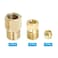 PATIKIL Brass Tube Fitting 4mm Tube OD 18 BSP Male Thread 3Pcs Compression Pipe Connector Union Straight Coupling Adapter Gold Tone