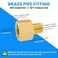 SDTC Tech 2Pack Brass Pipe Fitting 18 NPT Thread Male to 14 NPT Thread Female Reducer Adapter Brass Pipe Extension Connectors