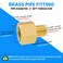 SDTC Tech 2Pack Brass Pipe Fitting 18 NPT Thread Male to 14 NPT Thread Female Reducer Adapter Brass Pipe Extension Connectors