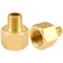 SDTC Tech 2Pack Brass Pipe Fitting 18 NPT Thread Male to 14 NPT Thread Female Reducer Adapter Brass Pipe Extension Connectors