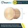 SharkBite 1 Inch Crimp Plug Brass Plumbing Fitting PEX Pipe PERT UC520LFA