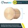 SharkBite 1 Inch Crimp Plug Brass Plumbing Fitting PEX Pipe PERT UC520LFA