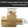 Uenede 2PCS Brass Tee Pipe Fitting 14 NPT Female x 14 NPT Female x 14 NPT Male for WaterOilGas