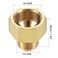 uxcell Brass Pipe Fitting 12 SAE Flare Male 34 SAE Female Thread Tubing Adapter Connector for Air Conditioner Refrigeration