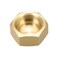 uxcell M20x10 Pipe Fitting Cap Brass Hex Female Thread Hose Connector for Garden and Outdoor Water Pipes Nozzle Joints 4Pcs