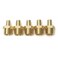 VENTRAL Adaptors for Connecting Pex Pipe Tubing to other Pipe Systems No Lead Brass 12 x 12 Male Adapter 5 Pack in Pack