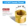 Vis Brass Pipe Fitting Hex Head Cap 12 NPT Female Pack of 5