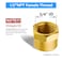 Vis Brass Pipe Fitting Hex Head Cap 12 NPT Female Pack of 5
