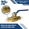 XFITTING 10 Pieces 1 Pex Ball Valve Hot and Cold 2425610X 10