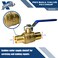 XFITTING 10 Pieces 1 Pex Ball Valve Hot and Cold 2425610X 10