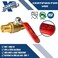 XFITTING 10 Pieces 1 Pex Ball Valve Hot and Cold 2425610X 10