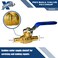 XFITTING 2 Pieces 12 Pex Ball Valve BlueCold 24222X