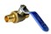 XFITTING 2 Pieces 34 Pex Ball Valve BlueCold 24242X