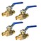XFITTING 2 Pieces 34 Pex Ball Valve BlueCold 24242X