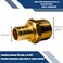 XFITTING 34 inch Pex x 34 inch Male NPT Adapter 244210X 10 Pieces