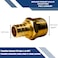 XFITTING 34 inch Pex x 34 inch Male NPT Adapter 244210X 10 Pieces