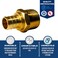 XFITTING 34 inch Pex x 34 inch Male NPT Adapter 244210X 10 Pieces